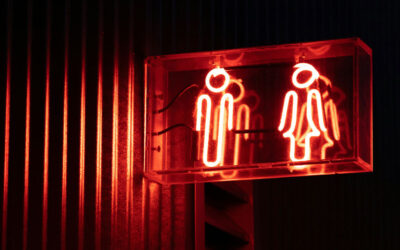 Gender Shelter